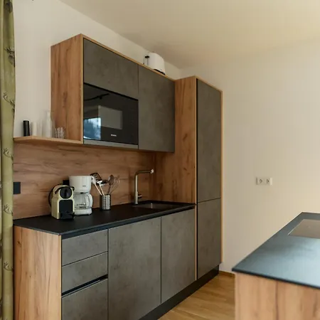 Sonnenhaus By Schladming-appartements * Schladming